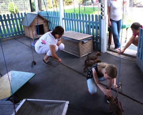 WElpenbesuchtag Kinder spielen mit den Welpen