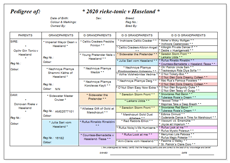 5 Gen Ahnentafel Pedigree R2 Wurf Donovan Rieke vom Haseland Ahnentafel Pedigree R2 Wurf Donovan Rieke vom Haseland