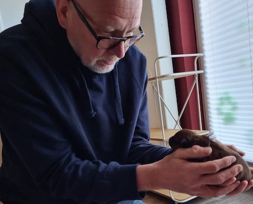 irish-terrier-welpen-11-495x400 Körperkontakt mit dem Züchter